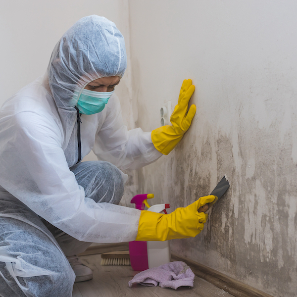 Removing Mold from Walls
