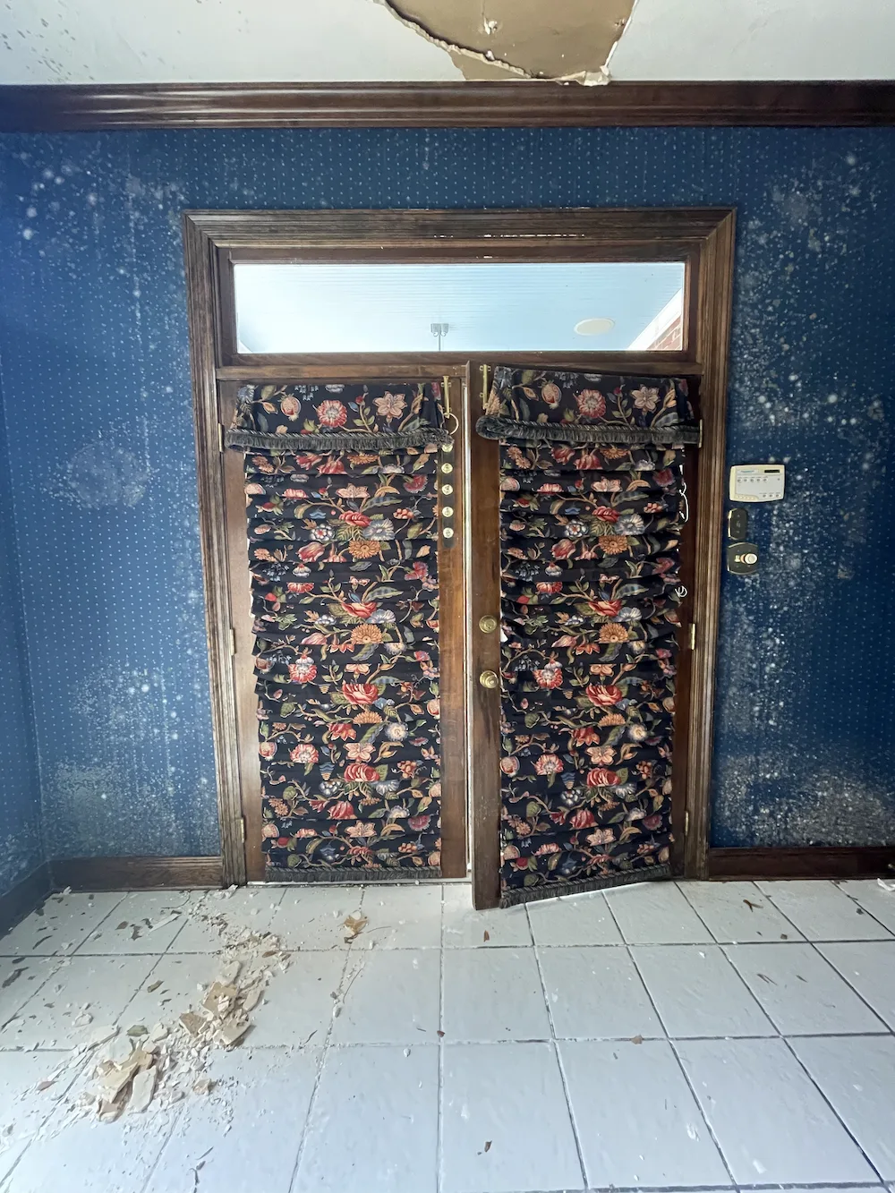 Removing Mold from Walls