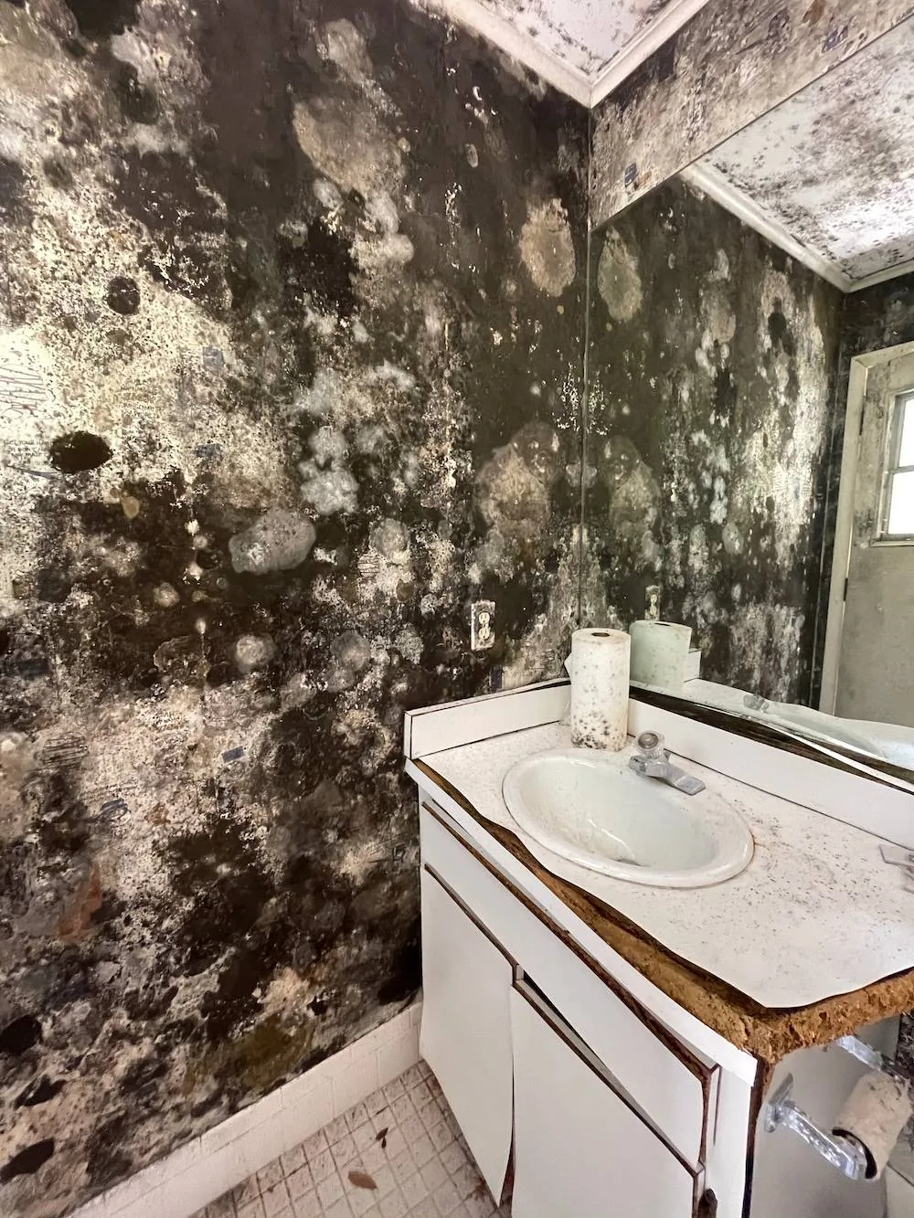 Removing Mold