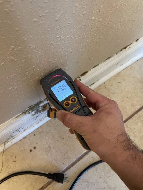 Mold Mildew Removal Mold Solutions