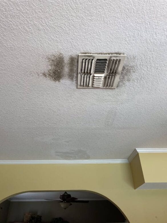 Mold Removal Costs Mold Solutions