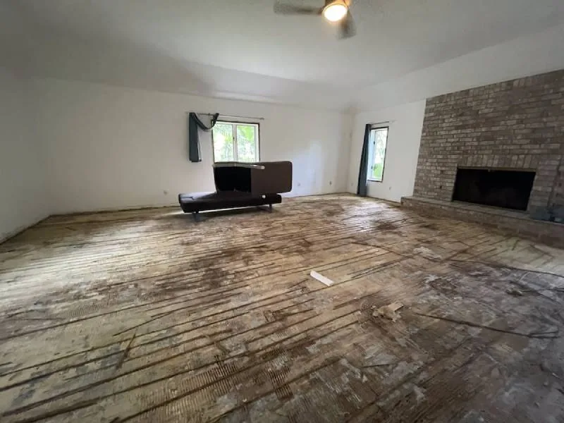 Mold Removal Company