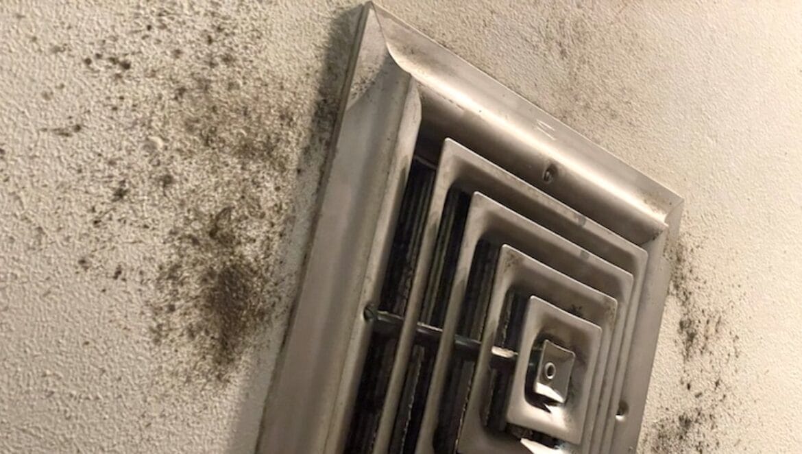 moldy-air-vent