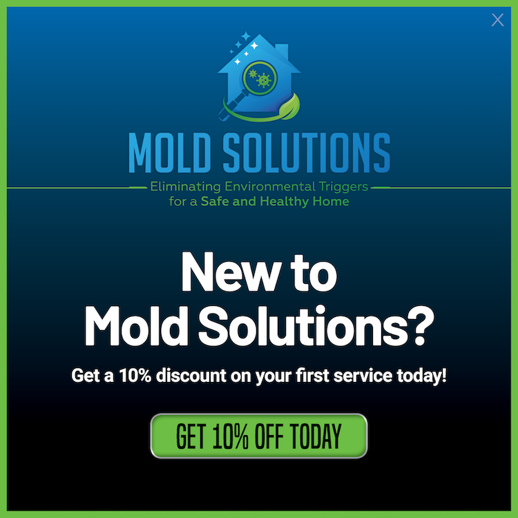 New to Mold Solutions? Take 10% Off First Order