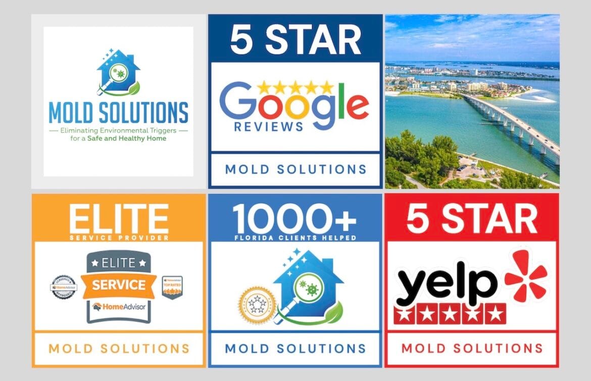 Graphic of five-star ratings on different review websites.