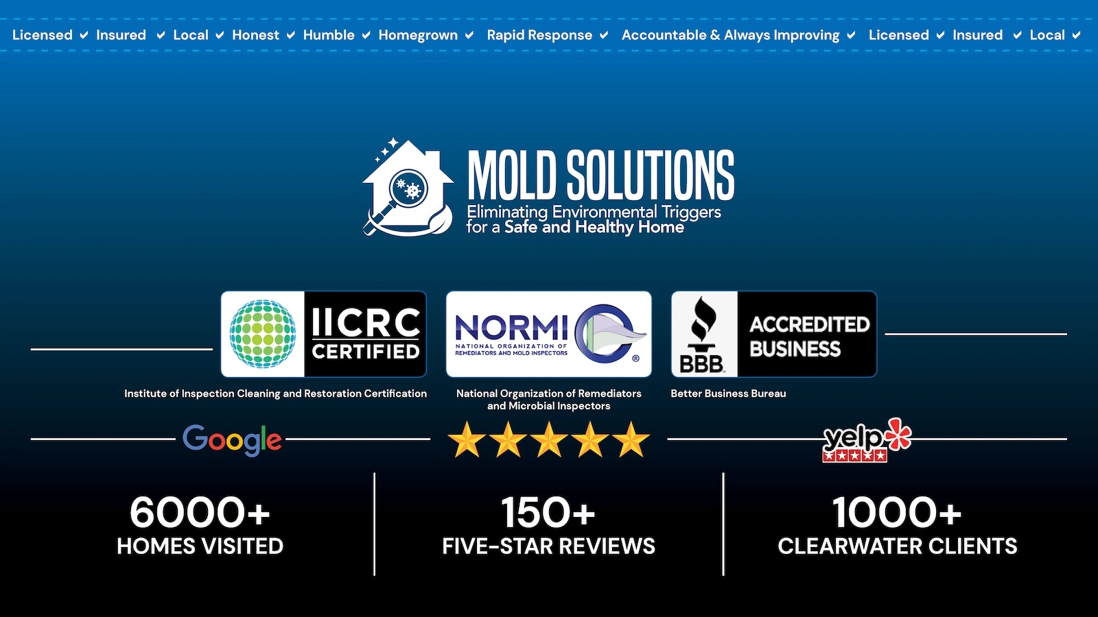 Mold Solutions Clearwater and logos of the associations and organizations it's a part of, authorized by, or rated by.