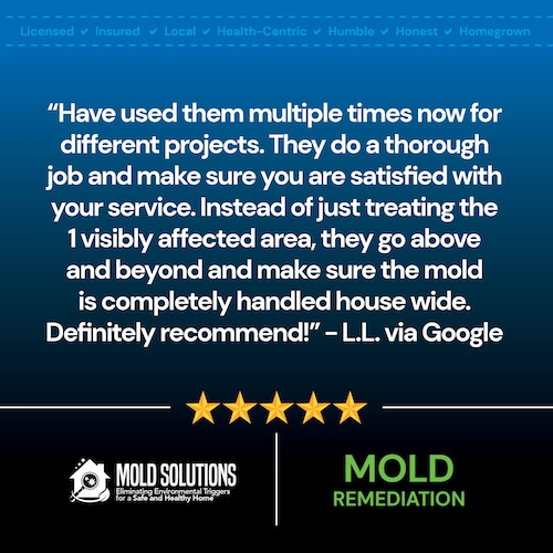 Mold-Solutions-Reviews2