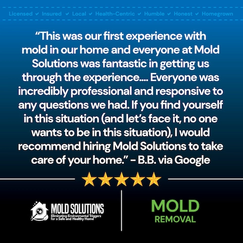 Mold-Solutions-Reviews3