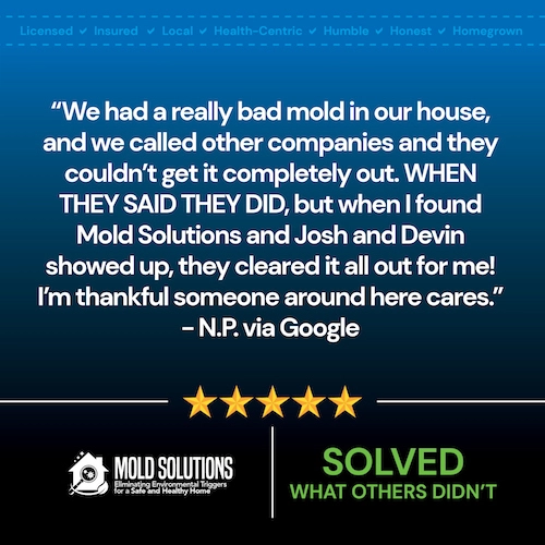 Mold-Solutions-Reviews6