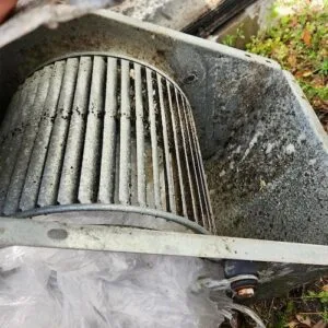 Mold in an AC blower wheel, cleaned by Mold Solutions, LLC in Clearwater, FL.