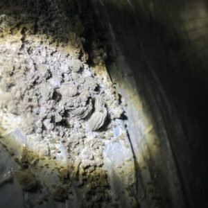 mold-solutions-clearwater-2