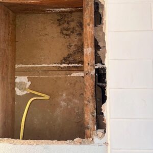 mold-solutions-clearwater-3