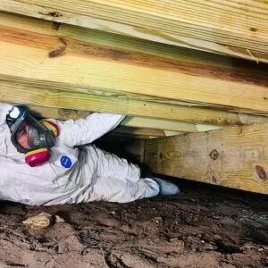 mold-solutions-clearwater-9