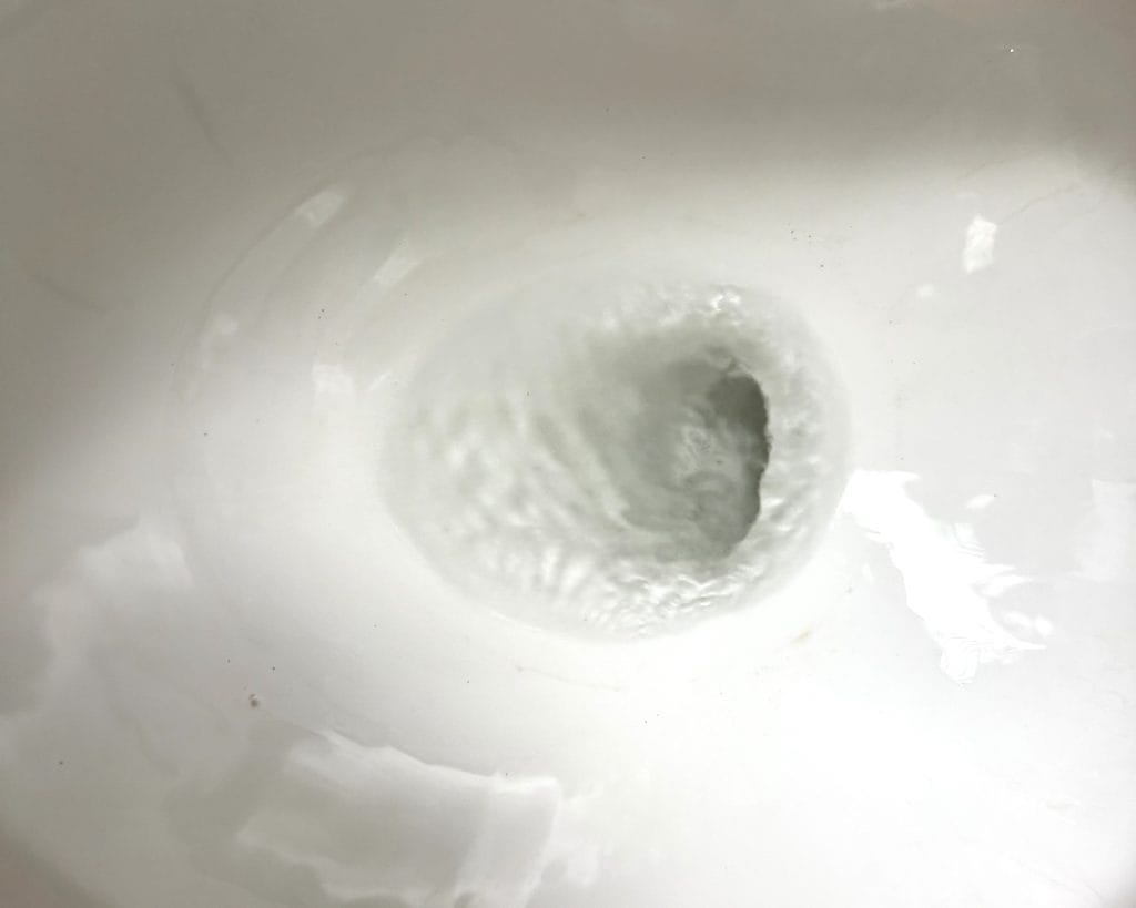Overhead view of mold or fungi in a toilet bowl, after cleaning.